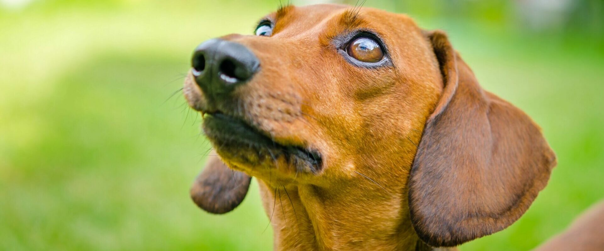 Depositphotos_50663093_XL-scaled-e1725950296144